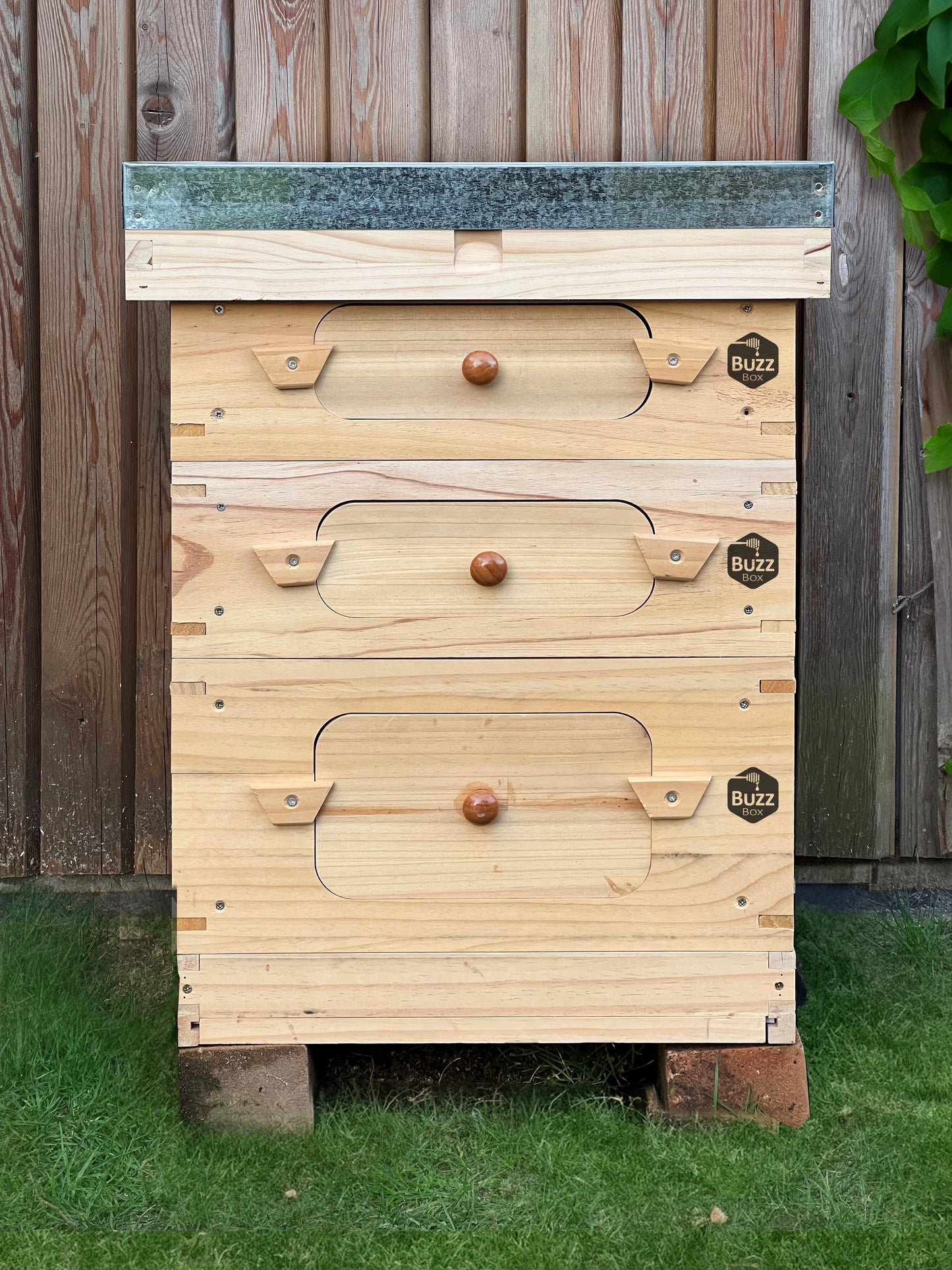 Buzz Box - The Beekeeper's Starter Pack